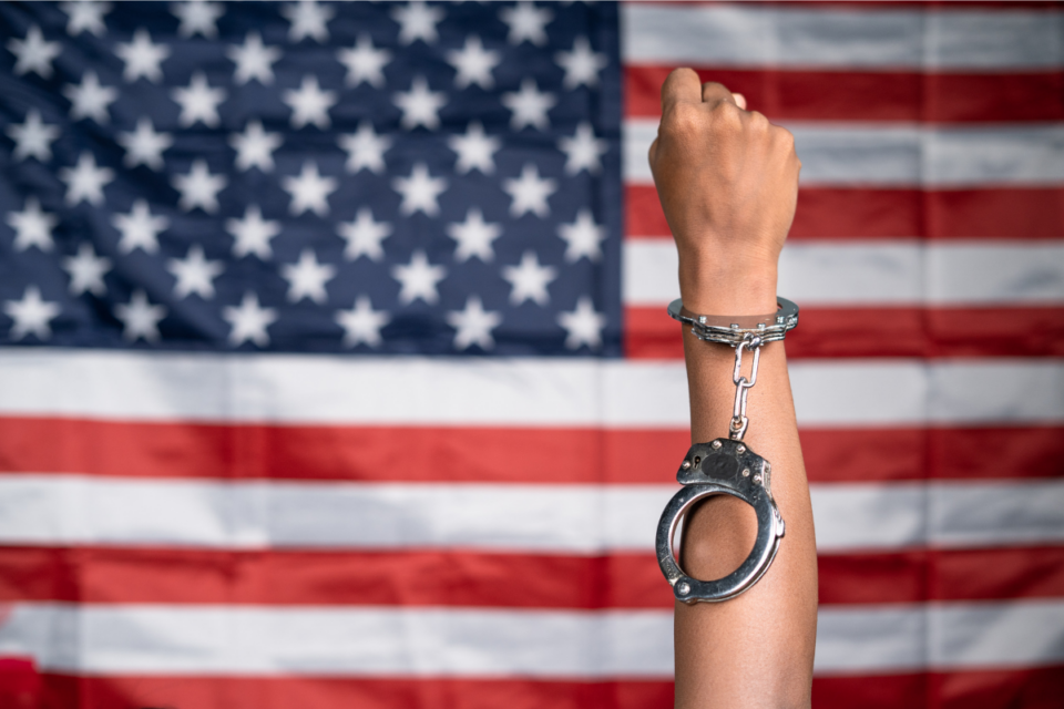 Capitalism couldn’t possibly be the cause of slavery, because slavery preceded capitalism as the dominant social order in virtually all parts of the world.