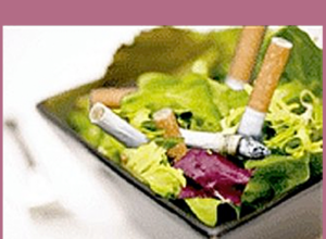 Please Don't Poop in My Salad ... and Other Essays Opposing the War Against Smoking