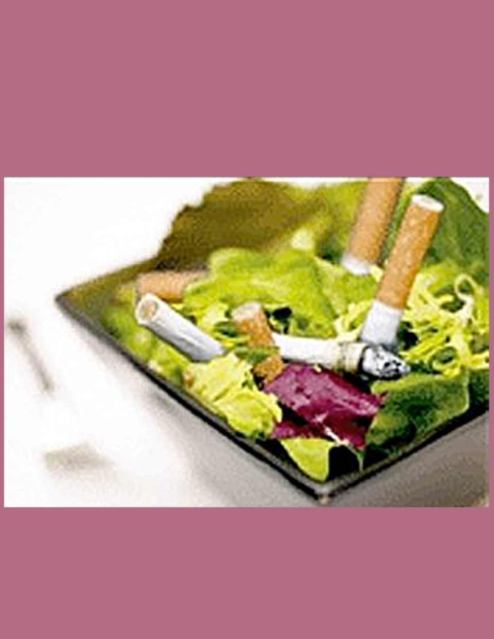 Please Don't Poop in My Salad ... and Other Essays Opposing the War Against Smoking