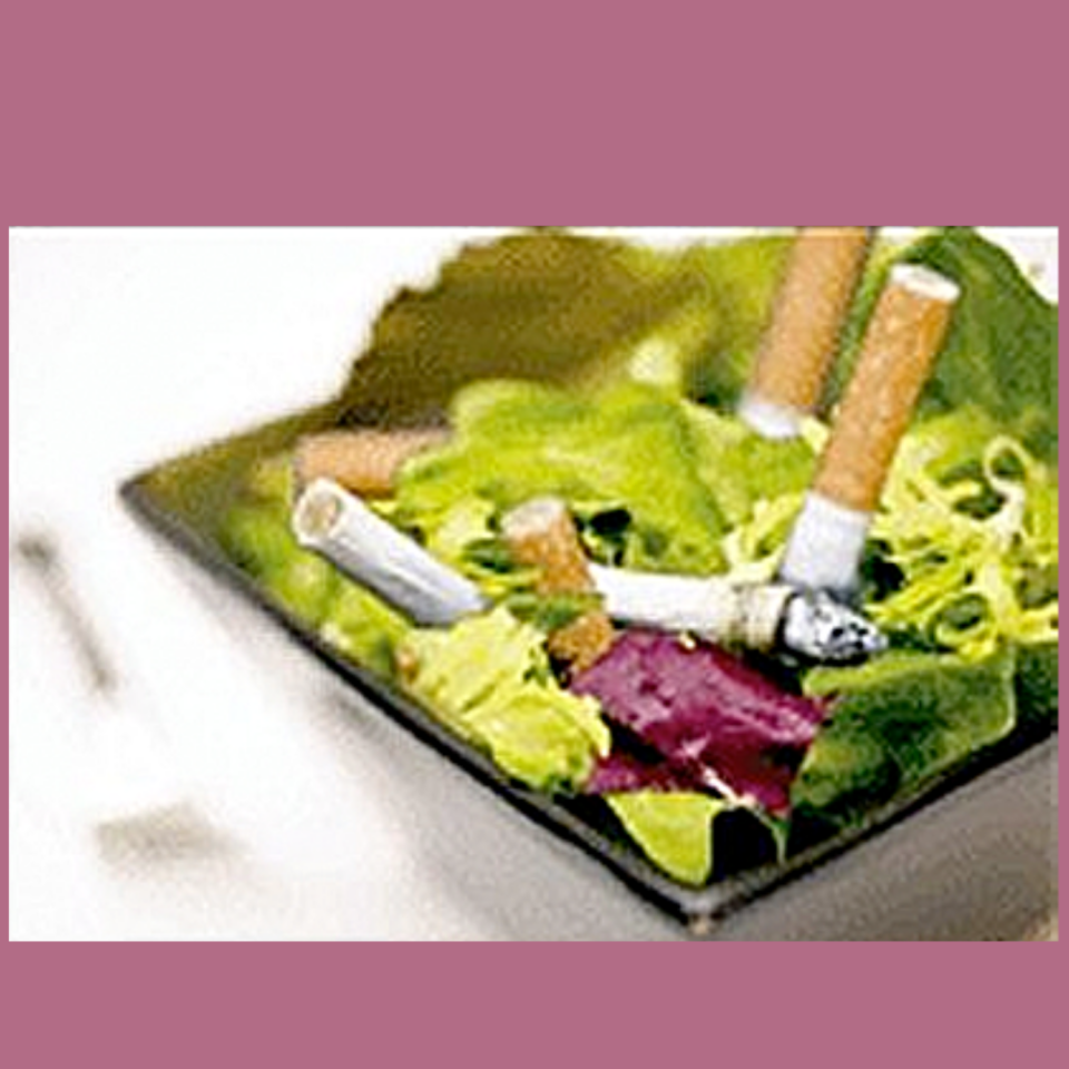 Please Don't Poop in My Salad ... and Other Essays Opposing the War Against Smoking
