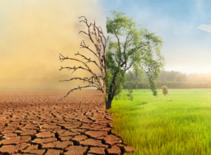 An independent examination of the evidence available on the causes and consequences of climate change in the published, peer-reviewed literature examined without bias and selectivity.