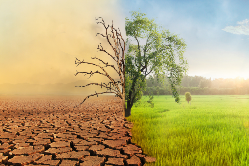 An independent examination of the evidence available on the causes and consequences of climate change in the published, peer-reviewed literature examined without bias and selectivity.
