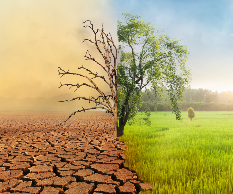 An independent examination of the evidence available on the causes and consequences of climate change in the published, peer-reviewed literature examined without bias and selectivity.
