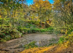 The wilderness protection issue is the foundation of environmentalism’s romantic appeal to the general public. It is a clear case where Old-school ideology conflicts with current scientific thinking.