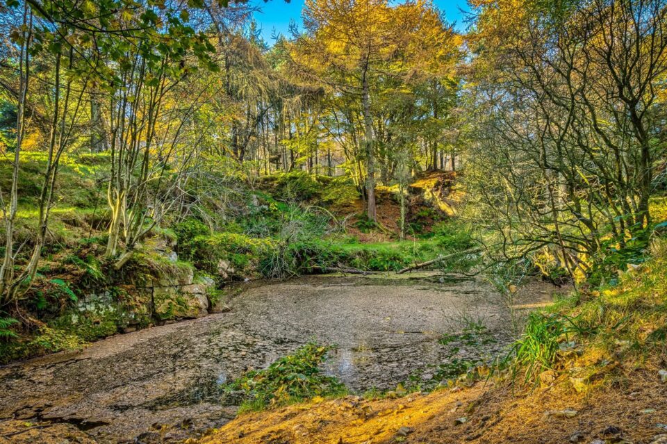The wilderness protection issue is the foundation of environmentalism’s romantic appeal to the general public. It is a clear case where Old-school ideology conflicts with current scientific thinking.