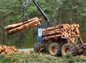 December 28 news release from National Environmental Trust slanders 15-year old think tank and perpetuates forestry myths.