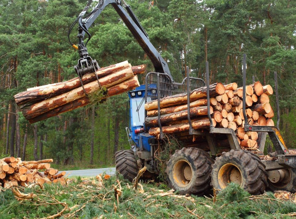 December 28 news release from National Environmental Trust slanders 15-year old think tank and perpetuates forestry myths.