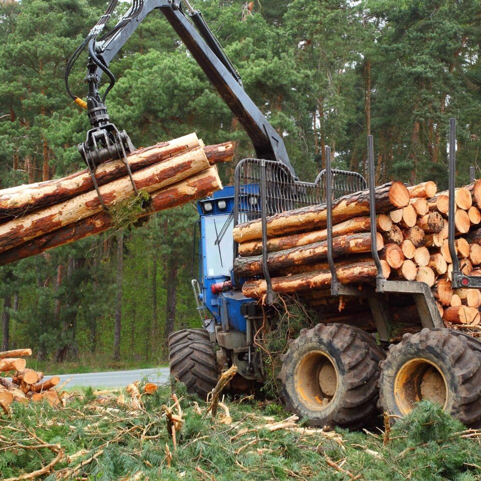 December 28 news release from National Environmental Trust slanders 15-year old think tank and perpetuates forestry myths.