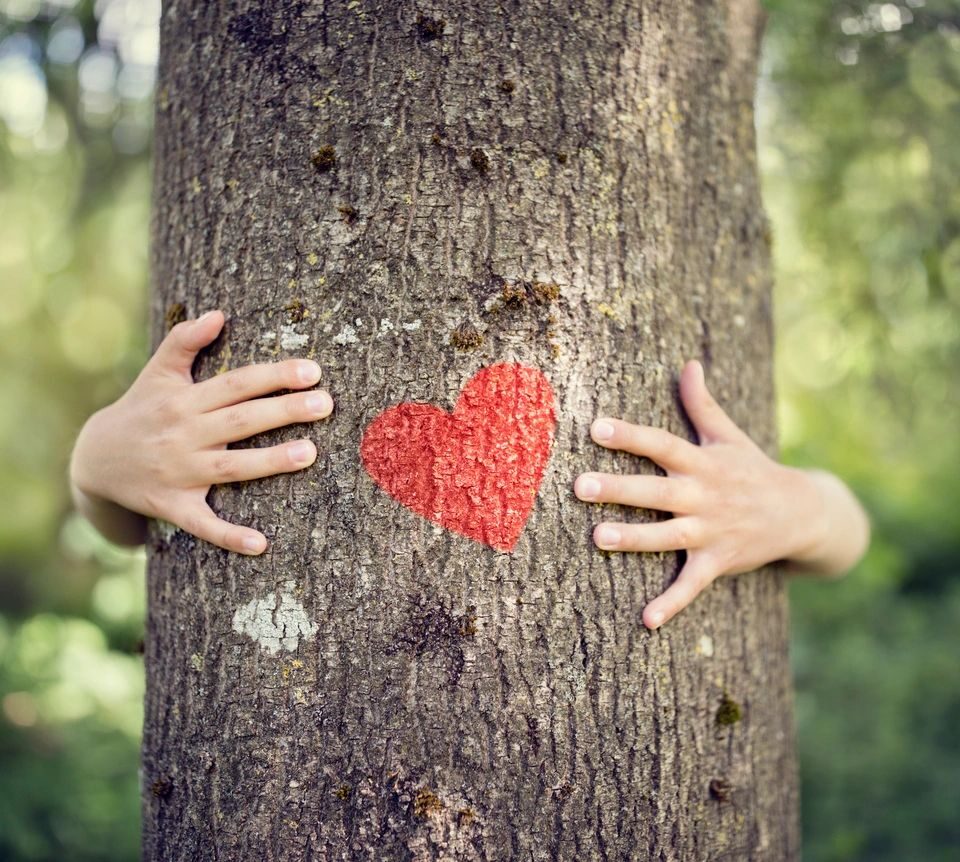 Maybe George W. Bush and Robert F. Kennedy Jr. are right about the positive relationship between capitalism and the environment. After all, it would be difficult to find another subject on which they agree.