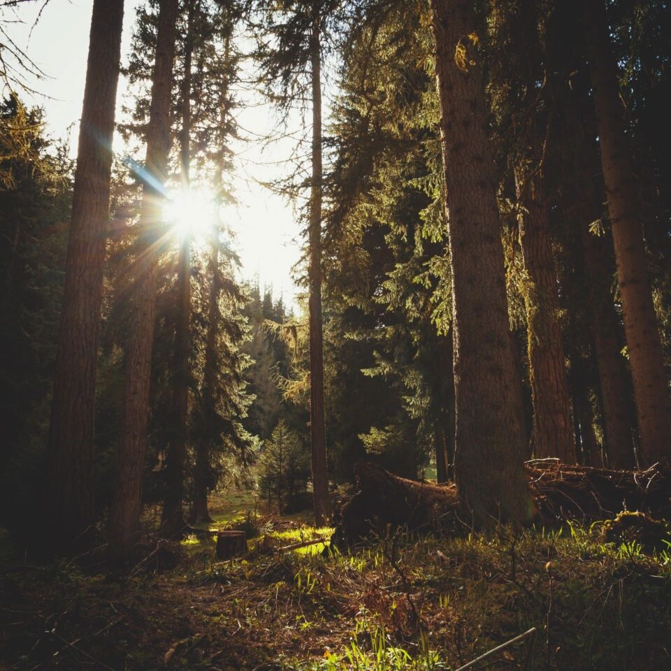 What gives us private property rights to land, possessions, and our own bodies? Historically, private property rights have been respected for five reasons.